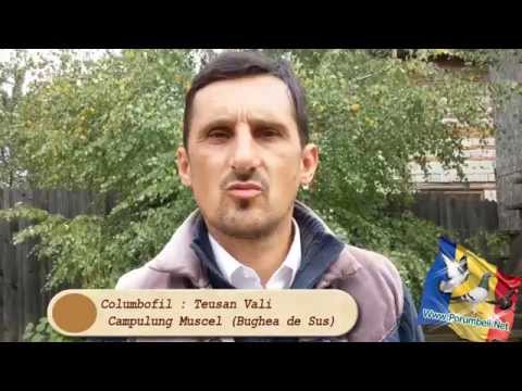 INTERVIU COLUMBOFIL TEUSEAN VALI (BUGHEA DE SUS )