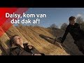 Rietdekken in het zonnetje - Brabants Buske