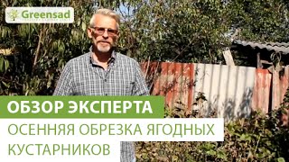 Осенняя обрезка ягодных кустарников