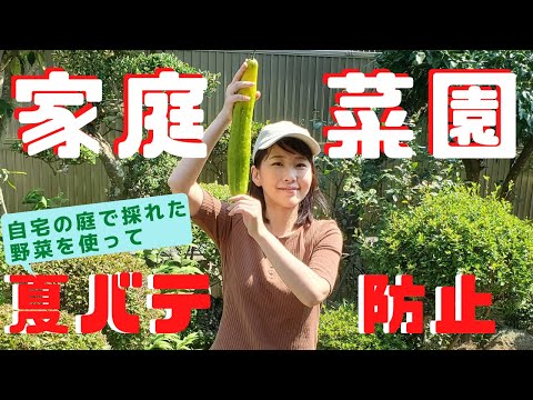 国際関係学科 【家庭菜園で超簡単・夏バテ防止レシピ！】自宅の庭で作った野菜を使って３分料理を作ります！
