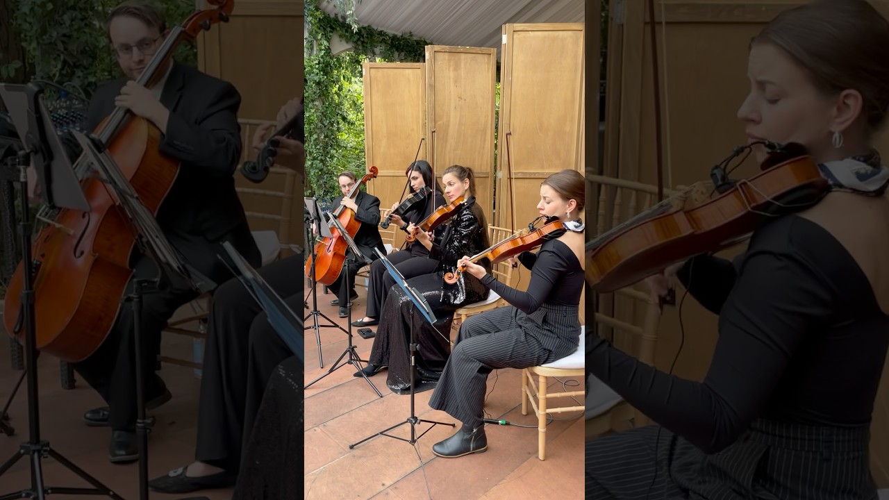 Promotional video thumbnail 2 for Velveteen Ensemble | Curated by Marcel