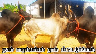 Download lagu ๐๐ฆ๐๐ณ๐ข๐ง๐  ๐๐ข๐  ๐๐จ๐ฐ ๐๐๐ง  | ๐๐ข๐  ๐๐ฎ๐ฅ๐ฅ ๐๐ข๐๐๐จ 2023 #cow #cows #bulls   #video #trending #viralvideo #meting mp3 Download lagu ๐๐ฆ๐๐ณ๐ข๐ง๐  ๐๐ข๐  ๐๐จ๐ฐ ๐๐๐ง  | ๐๐ข๐  ๐๐ฎ๐ฅ๐ฅ ๐๐ข๐๐๐จ 2023 #cow #cows #bulls   #video #trending #viralvideo #meting mp3