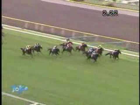 2008 優駿牝馬 YUSHUN HIMBA (JAPANESE OAKS)