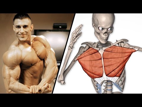 Głębokość ćwiczenia mięśni pleców Jak szybko usunąć ból w mięśniach po wysiłku