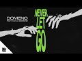 Domeno Feat Kayla Diamond Never Let Go
