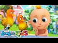 Two Little Dickie Birds Official Video LooLoo Kids Nursery Rhymes Kids Songs