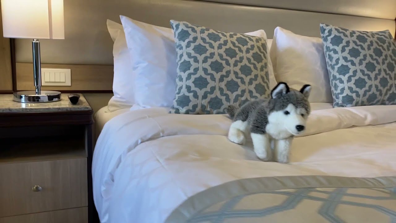 Discovery Princess - Cabin L216 - Video 2