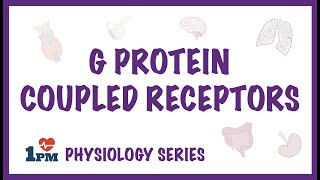 G Protein Coupled Receptors (GPCRs) - Structure, Mechanism of Action