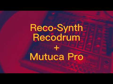 Recosynth Mutuca Pro 2023 - Rare hand-made Brazilian Synthesizer image 6
