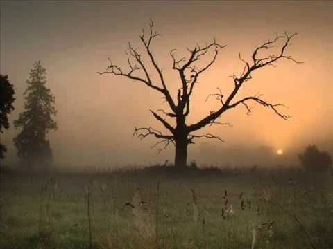 The Ghost Of 3.13 - Forgotten