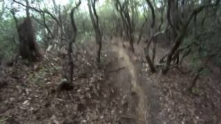 Black Mountain, Part 3