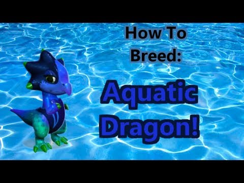 Dragon Mania Legends PC - How To Breed the Aquatic Dragon!