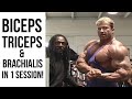 Charles Glass Training Gunter Schlierkamp | FULL ARM WORKOUT