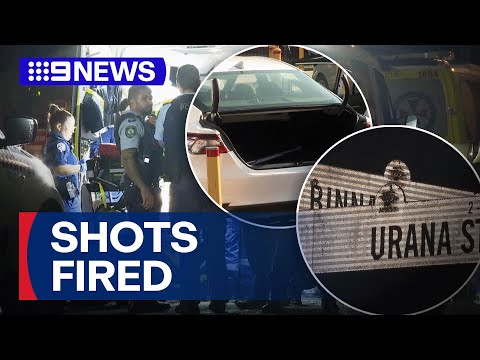 Man shot in the leg at Villawood | 9 News Australia