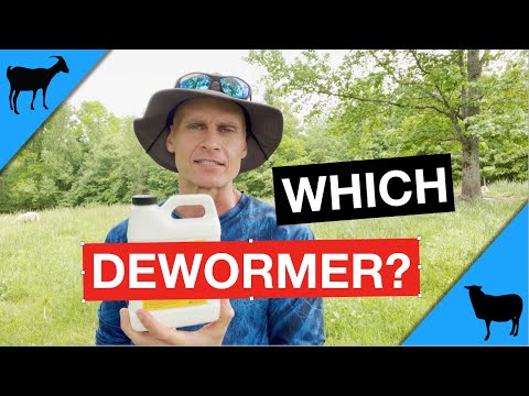 Worms 3: Goat and Sheep Dewormers