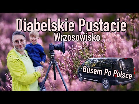 🚐 Busem po Polsce 📸 Diabelskie Pustacie 🍂 Fotografujemy Wrzosowisko