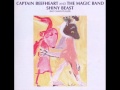Captain Beefheart - You Know You're A Man