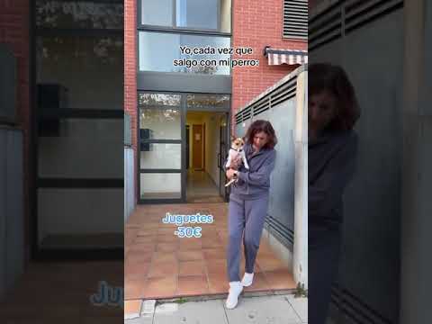 Esto es una ruina😂 #jackrussell #youtubeshorts #parodia #videosgraciosos #mascotas #ruina