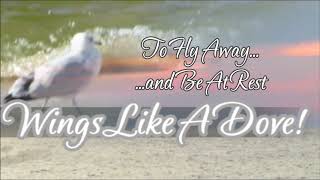 Wings Like A Dove - Psalm 55:6   - Music Higher In Time by The Waterboys