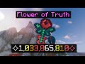 doing 1B dmg with a flower of truth (hypixel skyblock)