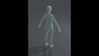 Human Body Base Mesh Pack video thumbnail