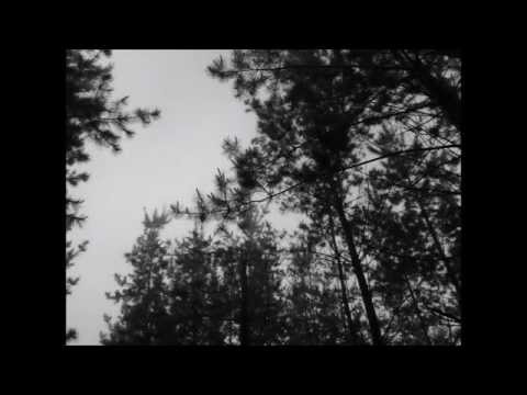 download lagu mp3 mp4 Owl Power Productions, download lagu Owl Power Productions gratis, unduh video klip Owl Power Productions