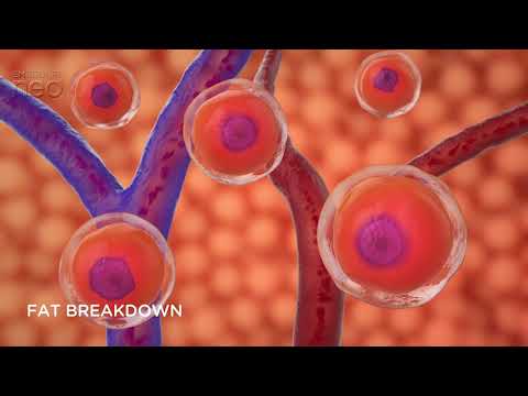 How EMSculpt Neo Works: Fat Loss & Muscle Building with EMSculpt Neo