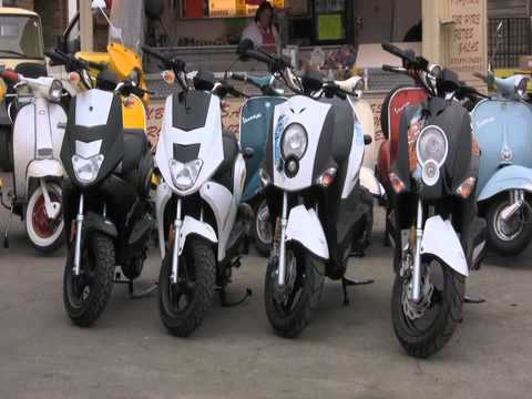 download lagu mp3 mp4 Florist Fareham, download lagu Florist Fareham gratis, unduh video klip Florist Fareham