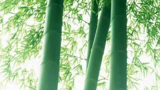 It&#39;s hard to say goodbye - Regine Velasquez Paul anka