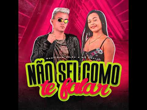 NÃO SEI COMO TE FALAR - WERTINHO VILÃO E MC BEELLY