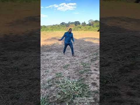 Chacara de 2 hectares com Rio de fundo em Varjao R$ 350.000,00