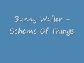 Bunny Wailer Scheme Of Things