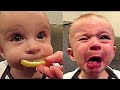 Kids Funny Videos