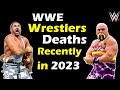 WWE Professional Wrestlers Who Died Recently in 2023