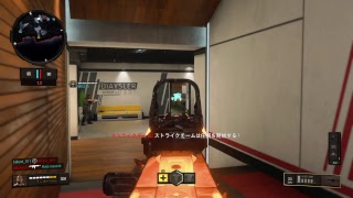【bo4】わさぴこ