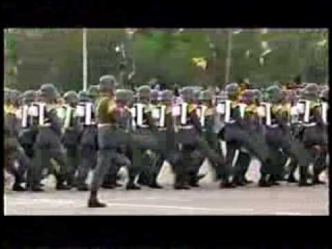 Parada Militar 2013 Chile:Ejército de Chile completo