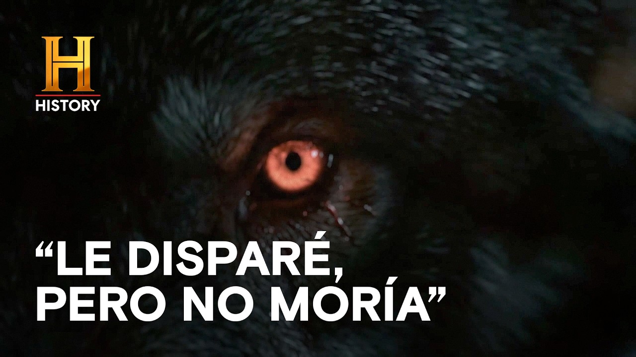 LA BESTIA DEL PARQUE: El Relato que No Querrás Creer 🌲😱 - MONSTRUOS LEGENDARIOS