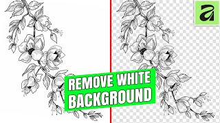 How to Remove White Background from Outlined Graphics in Affinity