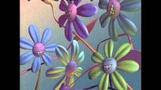 Home Grown - We Are Dumb