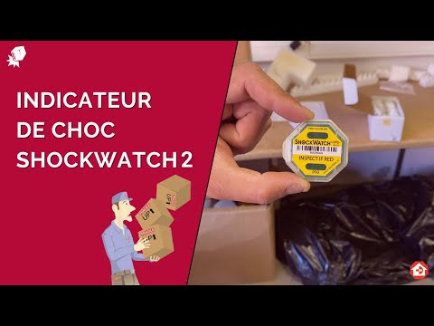 Indicateur de choc ShockWatch 2 - contrôle transport produits fragiles - sensibilité 5G à 75G_1