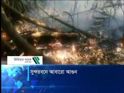 সুন্দরবনে আবারো আগুন