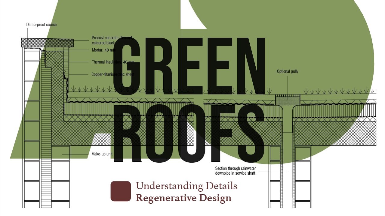 REGENERATIVE DESIGN | Green Roof Details – extensive vs intensive green roofs