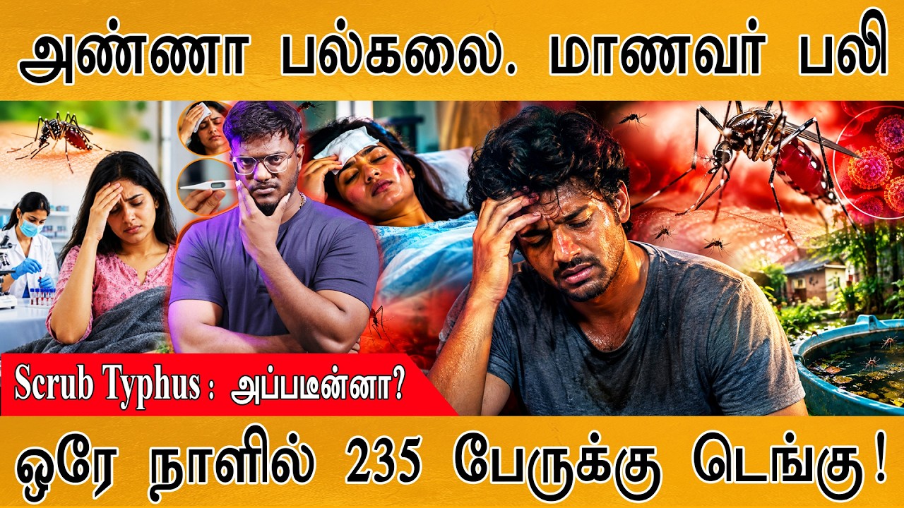 ஒரே நாளில் 235 பேருக்கு Dengue | Scrub Typhus : தமிழகத்திற்கு ஆபத்தா