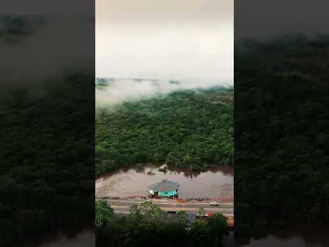 IGARAPÉ PRETO #acre #amazonia #naturezabrasileira #cruzeirodosul #drone #florestaamazônica