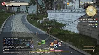 【PS版FF14🌱】メンテ前の朝カツ!!　Tank初挑戦の巻