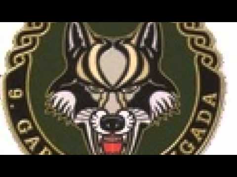 9. gardijska brigada "Vukovi" - 9th Guards Brigade "Wolves " WW2!