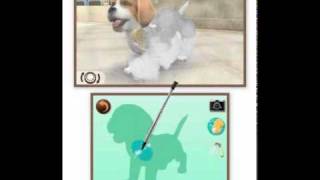 Nintendogs + Cats - Cleaning a dog
