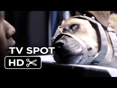 The Lazarus Effect TV SPOT - Dog (2015) - Olivia Wilde, Mark Duplass Movie HD