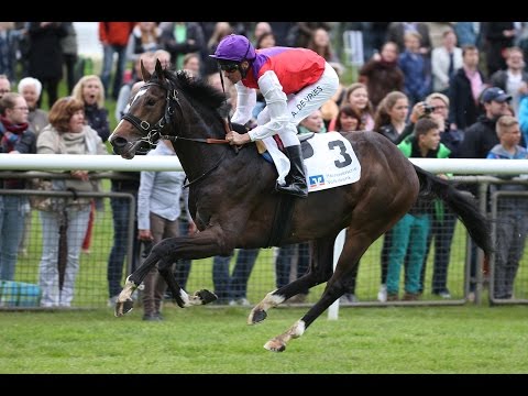 Hannover: Gr. Preis der Hannoverschen Volksbank - Derby Trial (Listenrennen) - Sieger: Shimrano