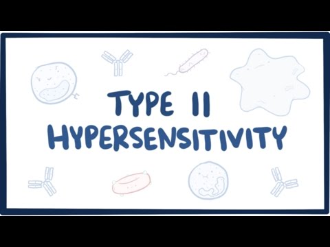 Type II hypersensitivity (cytotoxic hypersensitivity) - causes, symptoms,  & pathology